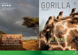THE SERENGETI - Zoologische Gesellschaft Frankfurt