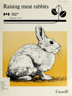 Raising meat rabbits - Publications du gouvernement du Canada
