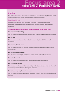 Safer roads early childhood focus area 2