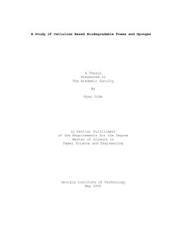 A Study of Cellulose Based Biodegradable Foams