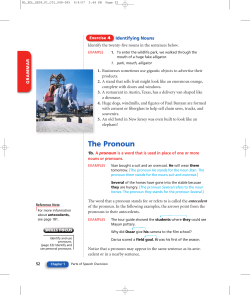 The Pronoun - mrbarham.com