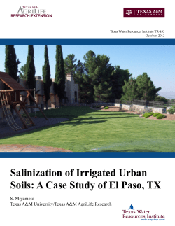 Salinization of Irrigated Urban Soils: A Case Study of El Paso, TX