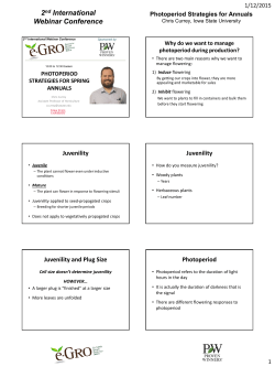 Crop template - e-GRO