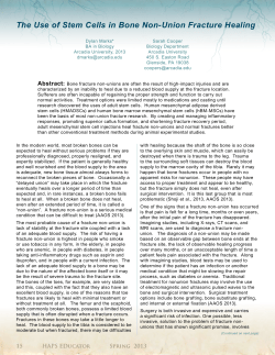 The Use of Stem Cells in Bone Non