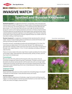 invasive watch - The DOW Chemical Company