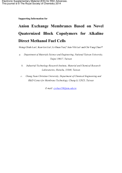 Anion Exchange Membranes Based on Novel Quaternized Block