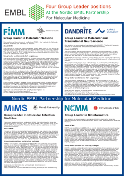 Four Group Leader positions