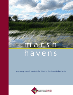 marsh havens.indd - Bird Studies Canada