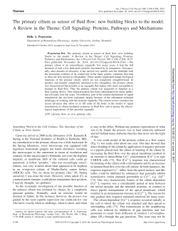 The primary cilium as sensor of fluid flow: new building blocks to the