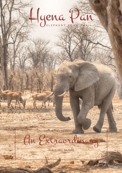 Elephant Song Trail Itinerary