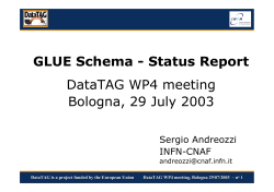 GLUE Schema - Status Report DataTAG WP4 meeting Bologna, 29