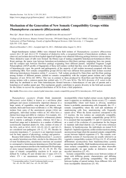 Mechanism of the Generation of New Somatic Compatibility Groups