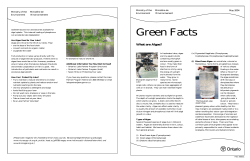 3958e01 - Green Facts: What are Algae?