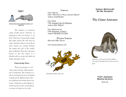 Title: &ldquo;What Not to Wear: Anteater Edition&rdquo;