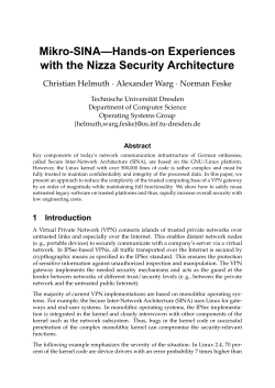Mikro-SINA&mdash;Hands-on Experiences with the Nizza Security