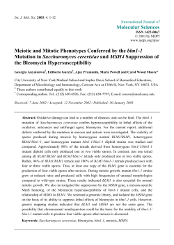 Meiotic and Mitotic Phenotypes Conferred by the blm1