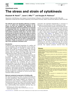 The stress and strain of cytokinesis