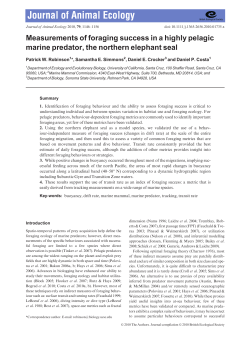 Measurements of foraging success in a highly pelagic marine