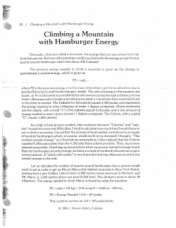 Climbing a Mountain with Hamburger Energy