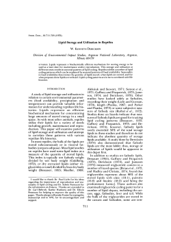 Lipid Storage and Utilization in Reptiles A study of lipid storage and