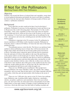 If Not for the Pollinators: Matching Flowers with - Oklahoma 4-H