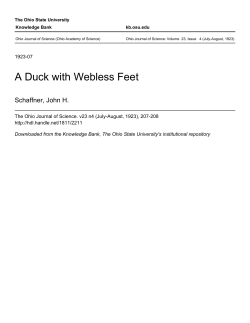 A Duck with Webless Feet