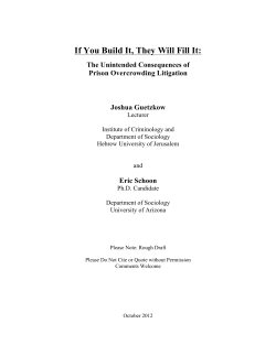 If You Build It, They Will Fill It: The Collateral Consequences of
