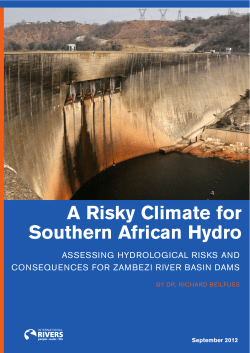 A risky climate for southern African hydro: assessing hydrological