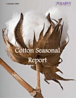 Cotton Seasonal Report