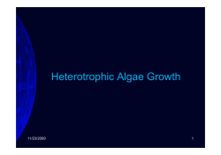 Heterotrophic Algae Growth