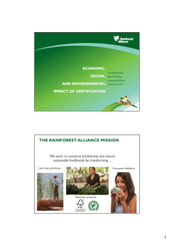 THE RAINFOREST ALLIANCE MISSION