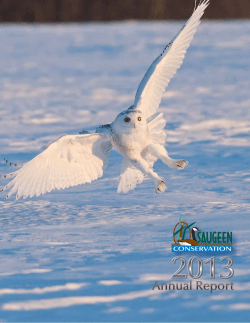 2013 Annual Report - Saugeen Valley Conservation Authority