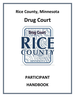Drug Court - Rice County