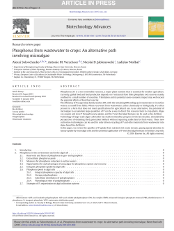 Phosphorus from wastewater to crops: An alternative path involving
