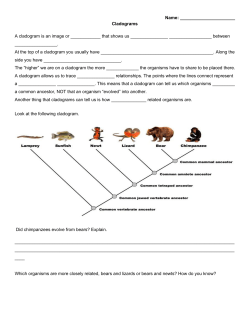 Learning Cladograms worksheet