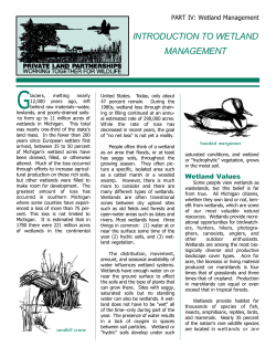 Introduction to Wetland Management