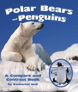 A Compare and Contrast Book