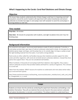 What`s happening to the Corals: Coral Reef Skeletons and Climate
