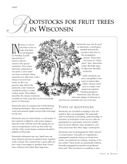 Rootstocks for Fruit Trees in Wisconsin (A3561)