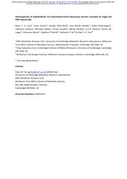 Heterogeneity of hypothalamic Pro-opiomelanocortin