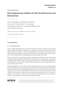 Bone Engineering: A Matter of Cells, Growth Factors