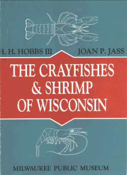 JOAN P, JASS * b. ,H. HwdBS ILL - University of Wisconsin Oshkosh