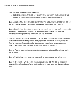 Guide for Reflection Writing Assignment
