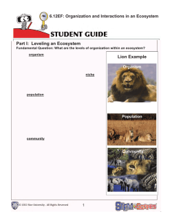 Part I: Leveling an Ecosystem Lion Example