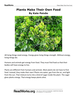Plants Make Their Own Food Passage Questions