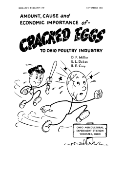 cracked eggs
