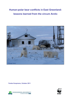 Human/Polar Bear Conflicts