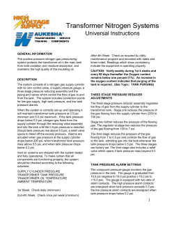 Transformer Nitrogen Systems