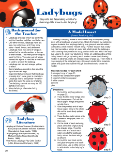 p020-25 ladybugs unit