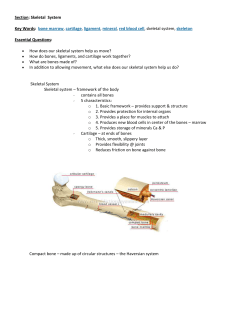 Human Body &ndash; Unit 2